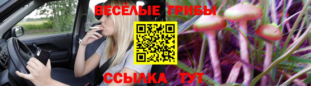 Галлюциногенные грибы GOLDEN TEACHER  Вход с VPN  Галлюциногенные грибы мухоморы  Таганрог 